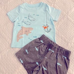 Carter’s t-shirt and shorts/ 3-6 months/ 🧸 5 for 25 dollars.
